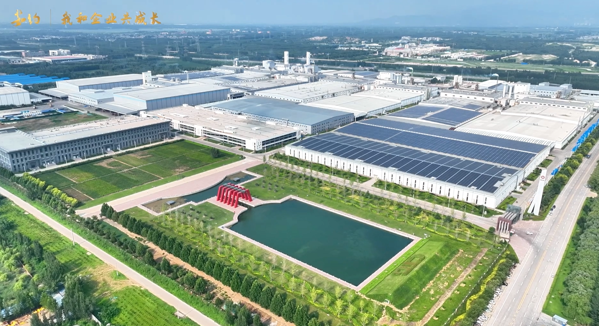 《茹约·我和企业共成长》建材工业人文纪录片上线！第1期对话泰玻总工程师张德刚